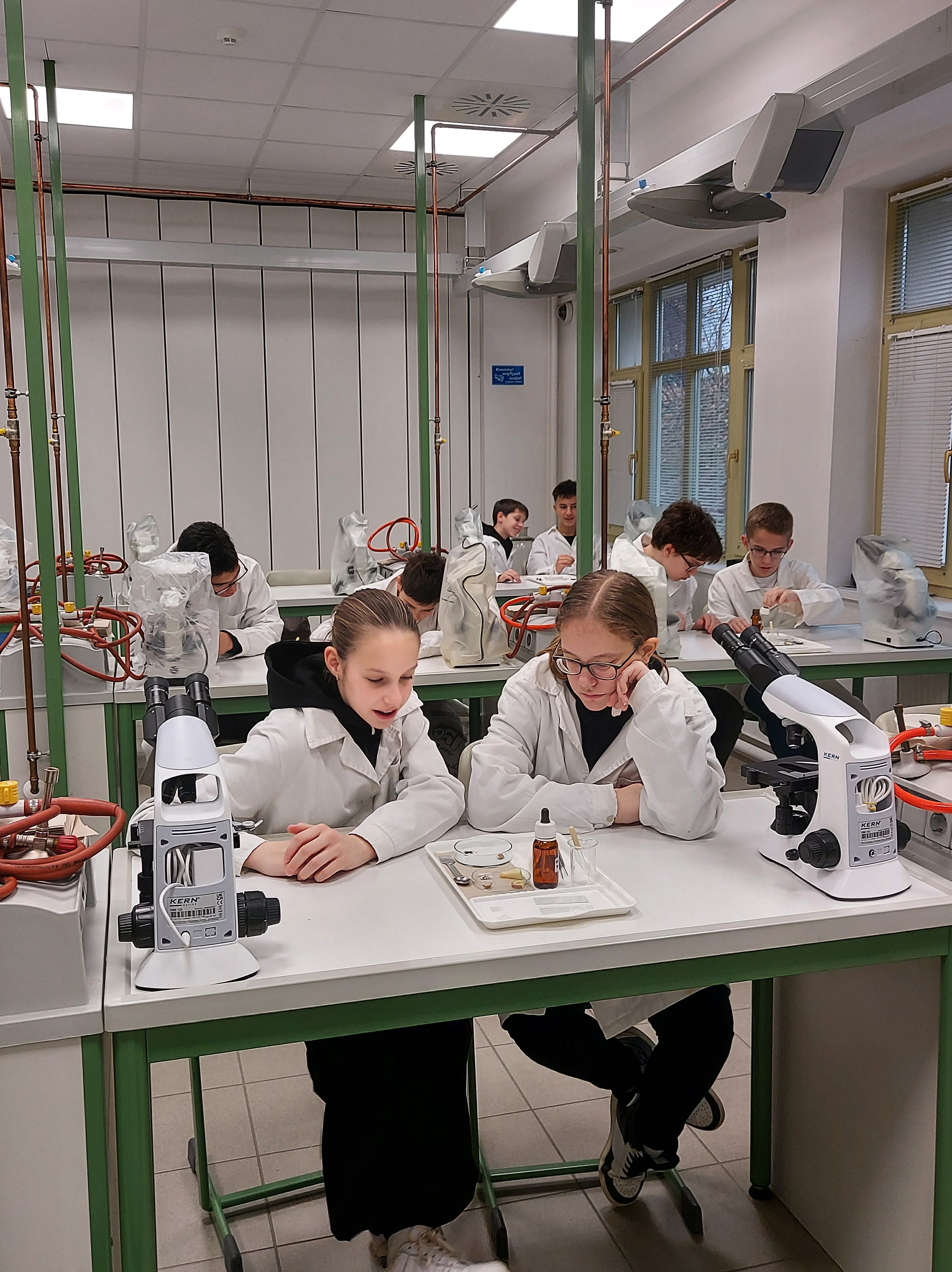 20241203_Cholnoky_fényképek-0.jpg