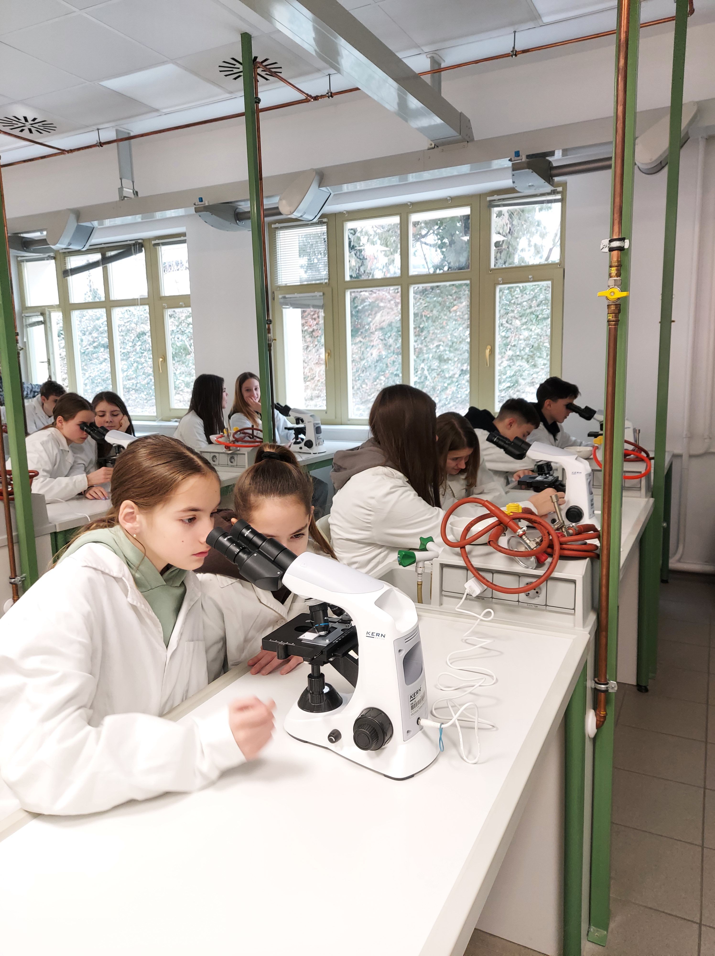 20250121_Simonyi_fényképek-2.jpg